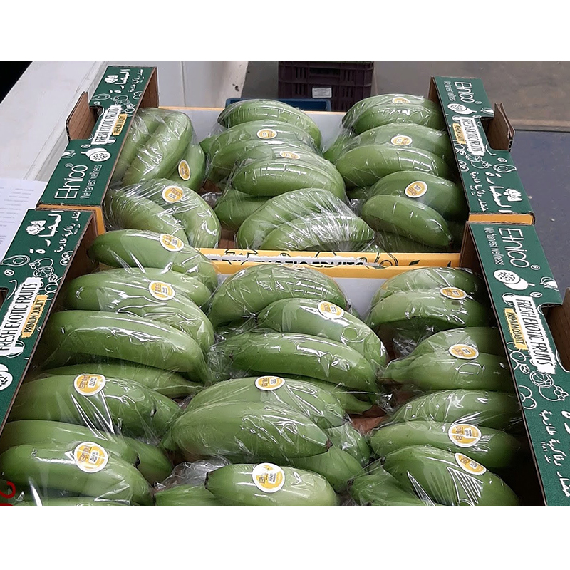 cheap price sweet fresh fruit fresh green baby banana for sale