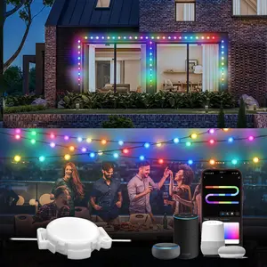 Módulo de cadena personalizado, píxel de luz RGB de 12V, IP68, impermeable, IC a todo Color, luces LED para Navidad y vacaciones al aire libre, venta al por mayor