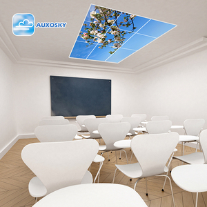 Auxosky Phẳng Vuông Chăm Sóc Sức Khỏe Chiếu Sáng Lựa Chọn Bởi Châu Âu 1000 + Nha Khoa Phòng Khám Không Có Sự Can thiệp Màu Xanh <span class=keywords><strong>LED</strong></span> Bầu Trời Trần Ánh Sáng Bảng Điều Chỉnh - Product Image 3