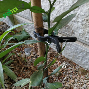 Clips <span class=keywords><strong>de</strong></span> <span class=keywords><strong>tomate</strong></span> Clips <span class=keywords><strong>de</strong></span> treillis en plastique Clips <span class=keywords><strong>de</strong></span> support <span class=keywords><strong>de</strong></span> plante - Product Image 5