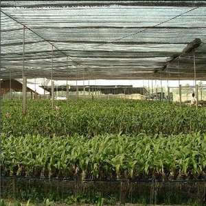 Filet pare-soleil en HDPE pour serre agricole / protection des serres, maille pare-soleil pour serre, couverture pare-soleil extérieure - Product Image 6