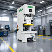 Machine de poinçonnage métallique pneumatique automatique de précision LFU-160