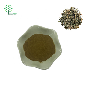 Brandnetel <span class=keywords><strong>Extract</strong></span> Brandnetelblad <span class=keywords><strong>Extract</strong></span> Poeder - Product Image 2