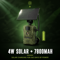 Caméra de chasse solaire 4G avec vision nocturne PIR 4MP