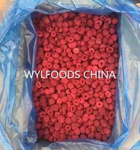 Framboises <span class=keywords><strong>surgelées</strong></span> biologiques IQF en gros - Product Image 3