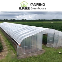Nouvelle conception PVC hydroponique gouttière système de ravins petit matériau PE pour la culture de fraises dans une serre commerciale