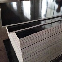 Contrachapado de 4x8 pies y 18 mm con película de seguridad antideslizante, pegamento fenólico negro, encofrado para construcción de hormigón
