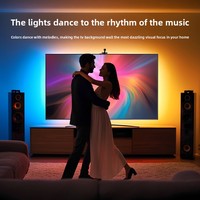 Tira de Luces LED RGBIC para TV con Sincronización WIFI y Selección de Color, Efecto Graffiti, Cambio de Color Completo, Venta al Por Mayor