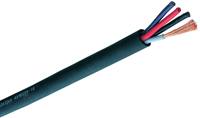 Câble de haut-parleur personnalisé audio de voiture 2 conducteurs en cuivre flexible OFC jauge 16 Awg