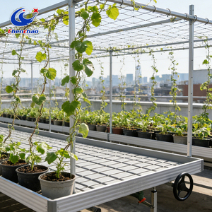 Invernadero Agrícola Grande <span class=keywords><strong>de</strong></span> Múltiples Tramos con Malla para Plantas Trepadoras, Cama <span class=keywords><strong>de</strong></span> Semillero y Banco Rodante Móvil - Product Image 1