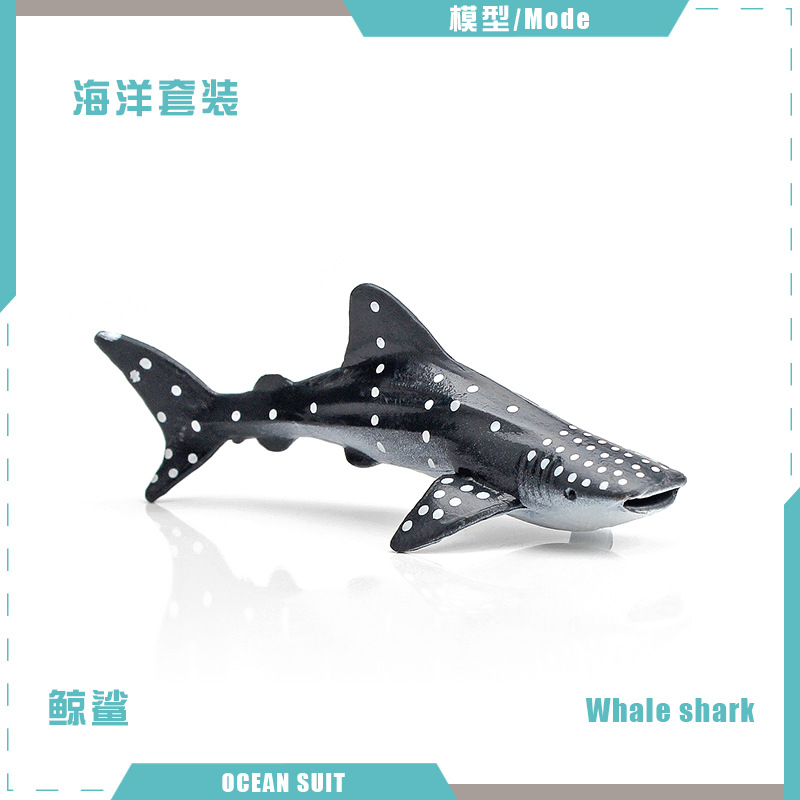 BL-5052 ฉลามวาฬ 6g