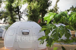 Carpa de boda blanca personalizada, carpa de cúpula geodésica de burbujas - Product Image 2