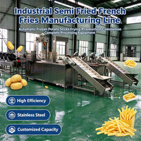 Volledig automatische productielijn voor diepvriesfrieten, industriële fritesverwerkingsinstallatie, turnkey food grade apparatuur