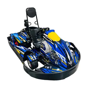 Baratos por atacado de Preços Fabricante Profissional Ir de Dois Lugares Carro Pedal TS7 Tental Kart Com GX200CC