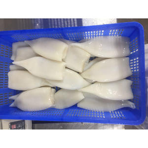 Tube de calmar <span class=keywords><strong>géant</strong></span> congelé IQF, coupé proprement, <span class=keywords><strong>prix</strong></span> de gros, calmar Illex U5 U7 U10 d'Argentine - Product Image 2