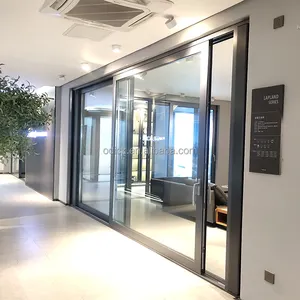 Puertas DE SEGURIDAD Estilo Panel grande Vidrio Puertas de doble acristalamiento y ventana Puerta moderna de acero inoxidable de aluminio duradero personalizada