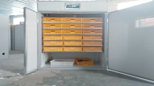 Incubateurs d'œufs polyvalents intelligents entièrement automatiques Capacité d'œufs 1000-1056 Nouvelle condition pour les couvoirs - Product Image 2