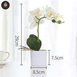 M069 ขายส่ง<span class=keywords><strong>Dendrobium</strong></span> Cattleyaกล้วยไม้พืชผ้าไหมที่เก็บรักษาไว้สีขาวPhalaenopsisกล้วยไม้หม้อประดิษฐ์กล้วยไม้ในหม้อ - Product Image 6