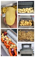 Rm Automatische Commerciële Wortel Zoete Aardappelschiller Polijstmachine Schillen Laveuse/Fruit-En Groentewasmachines