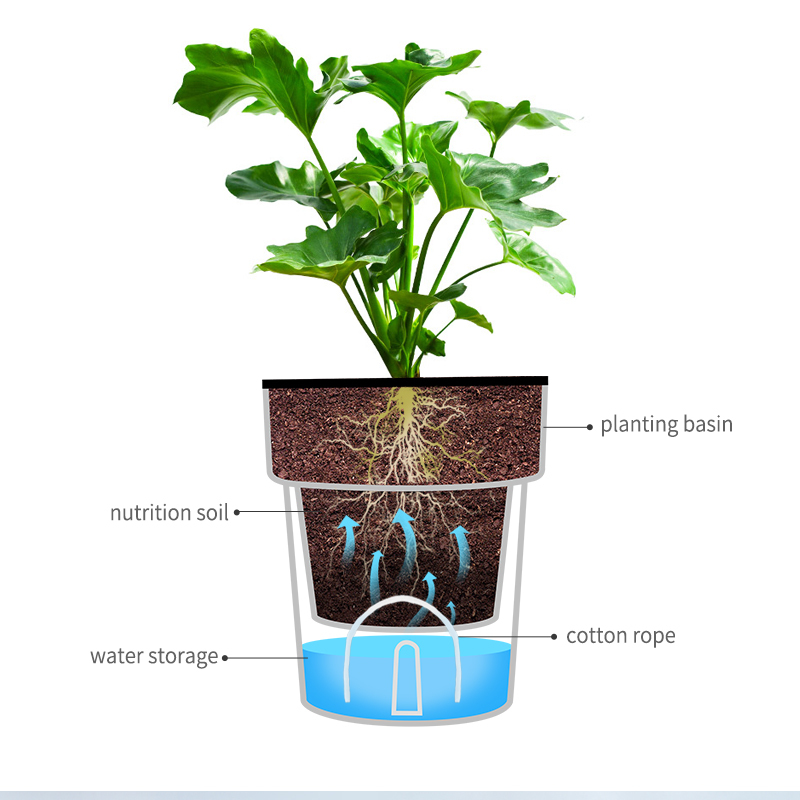Modern Small Round Self-Watering Planter Pot for Indoor Plants - View 2