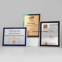 Trophée Médaille d'Influenceur YouTube Personnalisable de Marque, Plaques Haut de Gamme, Cadeaux d'Affaires, Modèle JS-0149-1, Fabriqué en Chine