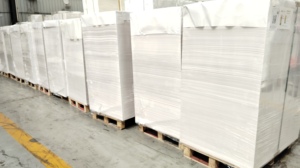 Waterproof Food Safe White PE Laminated <b>Paper</b> Cup Base Sheet For <b>Paper</b> Cup Manufacturing 0.305-0.457mm thickness <b>paper</b> - Product Image 3