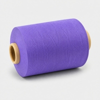 Hilo de Nailon Teñido en Solución, 100% Poliamida, Teñido en Masa, Color Duradero para Tejido de Punto y Telar