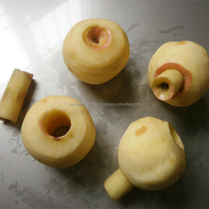 Pelador de manzanas profesional Corer Slicer Cutter Machine Automatic Apple Slicing Skin Removal Coring Peeling Equipo de corte - Product Image 2