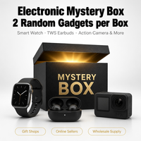 Groothandel Mystery Box 3C Elektronica 2 Stuks Willekeurige Selectie Smartwatch TWS Oordopjes Camera of Meer Cadeaubox Bulk Wederverkoop