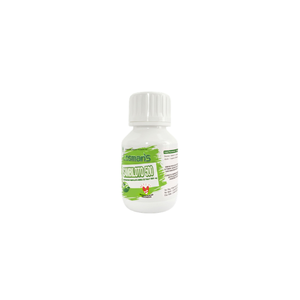 Sambiloto Losman with Andrographis Panicula herbal extract improves <b>your</b> immune system naturally, providing antioxidant benefits - Product Image 1
