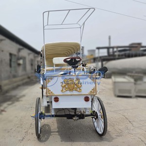 2025 Carrosse Électrique Royal de Luxe à 4 Roues, Alimenté par Batterie, pour Mariages et Visites Touristiques, Transport Spécial à Vendre - Product Image 3
