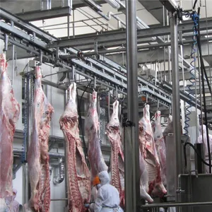 Automatic Bull Abattoir Equipment For Beef Slaughter House Meat Process Butchery Conveyor