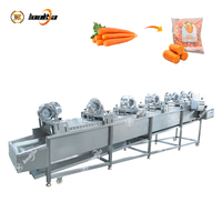Multifunctionele Groentereiniger Fruitwasmachine Sorteermachine Groentedroog-En Verpakkingsmachine Babywortelverwerkingslijn