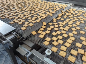 Attrezzatura su Larga Scala per la Produzione di Biscotti Duri e Morbidi - Product Image 3