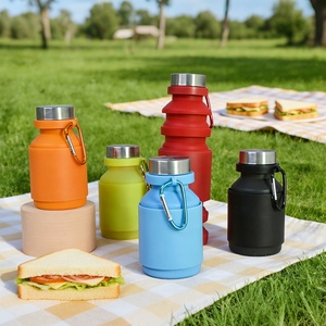 Bouteille d'eau pliable en silicone écologique réutilisable de 550 ml, prix d'usine OEM, avec boîte personnalisée - Product Image 2