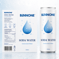 Eau gazeuse sans sucre 330ml en canette, boisson gazeuse personnalisable avec logo et saveur, boisson rafraîchissante