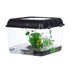Boîte d'élevage de reptiles, araignée, lézard Gecko, Hamster, serpent, tortue, coccinelle, étui Transparent pour animaux de compagnie - Product Image 4
