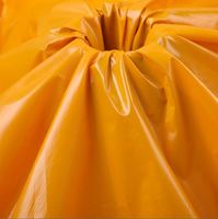 Revêtement PU anti-tâches de rousseur, tissu imperméable avec surface brillante, anti-salissure, coupe-vent, en Nylon tpu, 20D, 100%, utilisé en duvet d'hiver