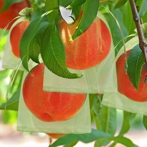 Wholesale Mango Covering <b>Insect</b> Proof <b>Mesh</b> Bag Organza Reusable Fruit Protection Bags for Garden Netting <b>Insect</b> Prevention - Product Image 6