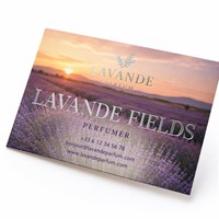 Cartes de visite personnalisées en couleur avec dorure à chaud, motifs artistiques, noms personnalisés, papier couché, impression offset pour entreprises
