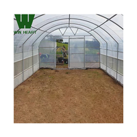 Ensemble complet de serre fabriqué en usine Film de tunnel agricole haute résistance Polytunnels transparents en plastique pour serre