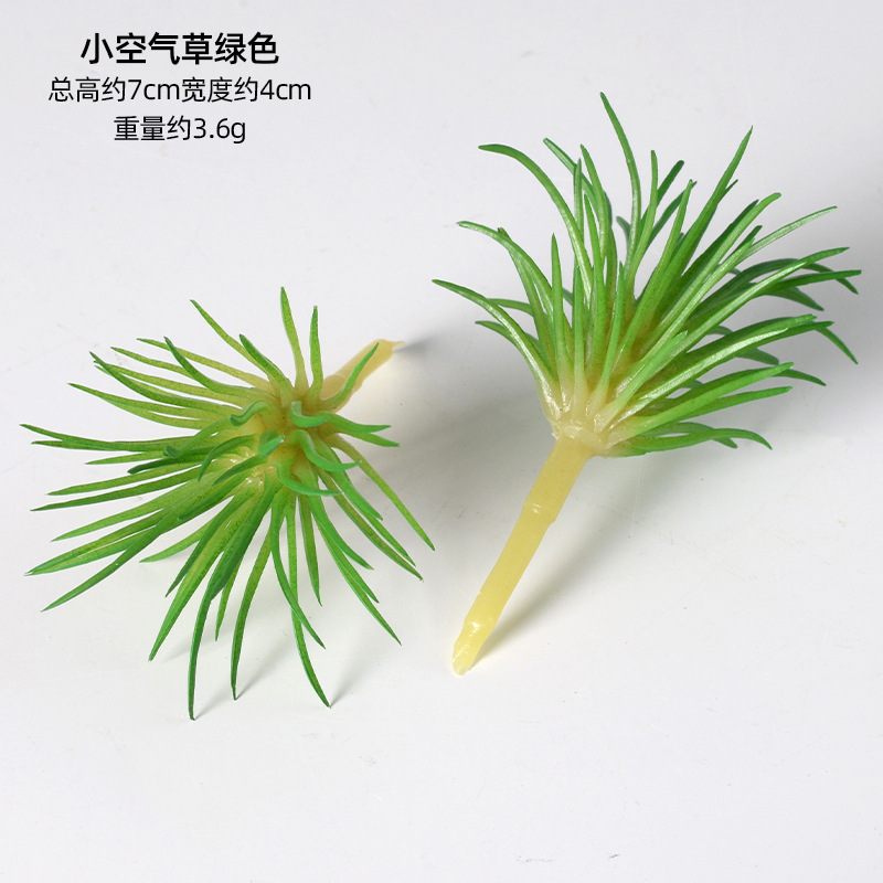 Petite herbe aérienne verte