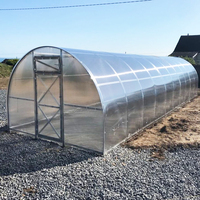 Bâche de serre en polycarbonate naturelles, production puissante à contrôle automatique, usage commercial
