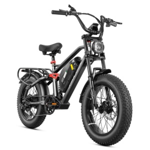 Eahora Terra 48V 250W Bicicleta Eléctrica Urbana de 22.4 Pulgadas con Batería de Largo Alcance de 15Ah y Cuadro de Acero - Venta al por Mayor desde China - Product Image 1