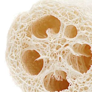 <span class=keywords><strong>Estropajo</strong></span> <span class=keywords><strong>de</strong></span> plato Natural respetuoso con el medio ambiente biodegradable, estropajos, esponja <span class=keywords><strong>de</strong></span> limpieza <span class=keywords><strong>de</strong></span> platos <span class=keywords><strong>de</strong></span> cocina <span class=keywords><strong>de</strong></span> lufa <span class=keywords><strong>de</strong></span> celulosa <span class=keywords><strong>Luffa</strong></span> - Product Image 6