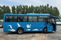 Excelente Autobús de Pasajeros Diésel de 29 Asientos ZK6809HA en Excelente Estado, Modelo de Exportación Usado de China