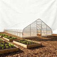 Serre de jardin moderne 25x100 pieds, tente de culture préfabriquée avec structure en acier galvanisé, alternative imperméable pour la culture à domicile en arrière-cour, facilement assemblable