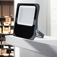 Projecteur LED d'extérieur étanche IP66 à prix abordable, directement de l'usine, pour jardin, parc, cour, garage, 50W, 100W, 200W