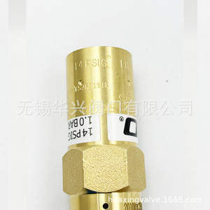 Vanne de sécurité Rego Prv9432f014c 1/4 po NPT basse température pour applications gazolines - Product Image 3