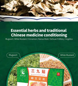 Patch SanJiu à base de plantes de qualité supérieure Soulagement naturel de la douleur Thérapie de désintoxication pour les maladies chroniques Fonction de soins de santé Fournisseur en gros - Product Image 3